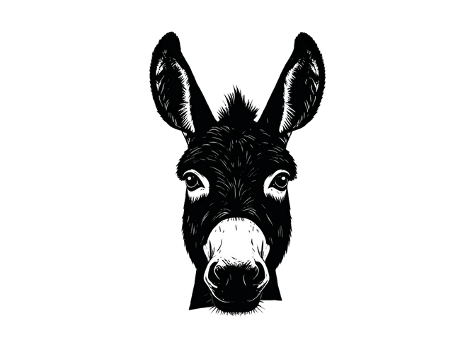 Donkey Drills Developer